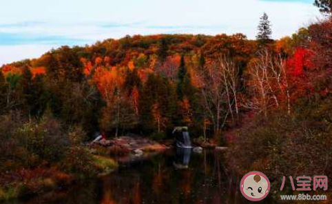 朋友圈发枫叶怎么写文案 形容枫叶美的说说文案