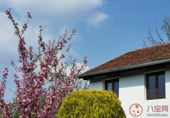 天气暖和阳光好的朋友圈说说 阳光出去溜开心心情句子 天气暖和阳光好的朋友圈说说 阳光出去溜开心心情句子