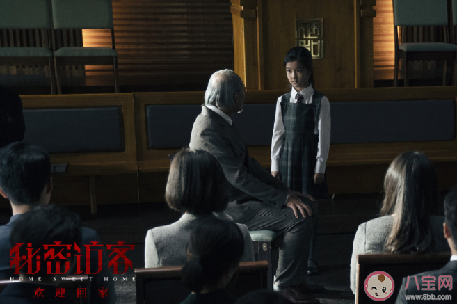 《秘密访客》讲述了什么故事 《秘密访客》好看吗