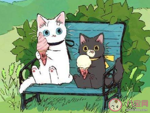 阿YueYue《云与海》歌词是什么 《云与海》完整版歌词在线听歌