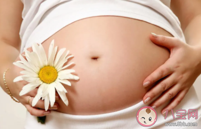 孕期健康饮食最新小建议 孕期的饮食指南