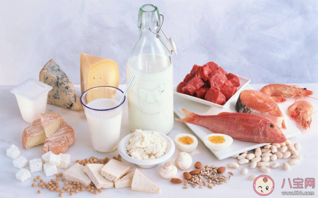蛋白质摄入过多有什么危害 蛋白质饮食指南
