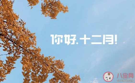 2020十二月早安温馨祝福合集 十二月你好正能量微信朋友圈