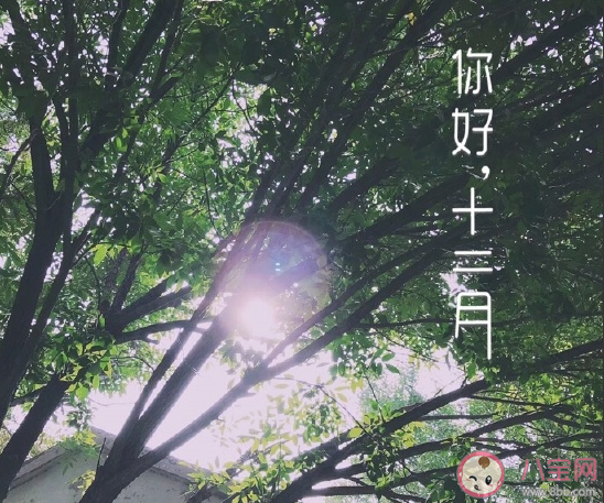 2020十二月早安温馨祝福合集 十二月你好正能量微信朋友圈