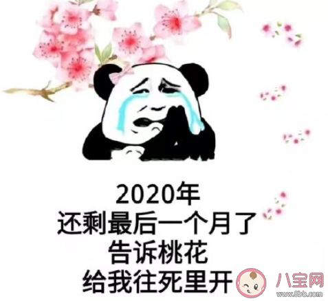 2020剩下最后一个月的正能量文案句子 2020最后一个月的励志说说语录