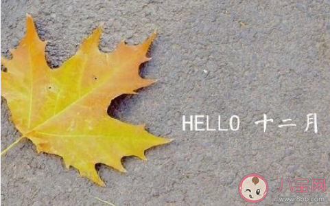 2020剩下最后一个月的正能量文案句子 2020最后一个月的励志说说语录