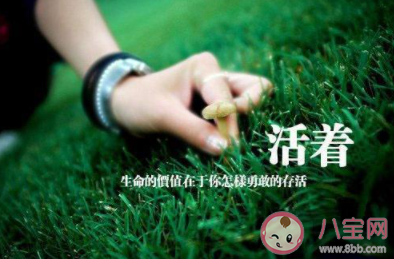 慌慌张张匆匆忙忙为何生活总是这样是什么歌 《活着》完整版歌词在线听歌