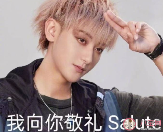 我向你敬礼salute是什么梗 我向你敬礼salute梗的出处是什么