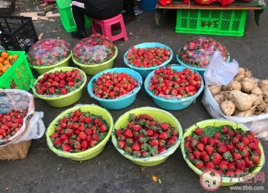 冬天吃草莓晒朋友圈说说 冬天吃草莓幽默搞笑文案