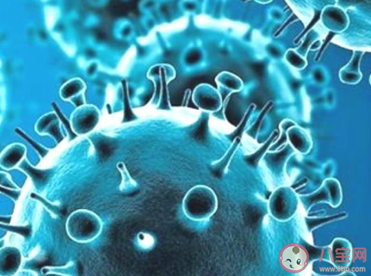 变异新冠病毒更容易感染儿童吗 新冠病毒变异会导致更高的死亡率吗