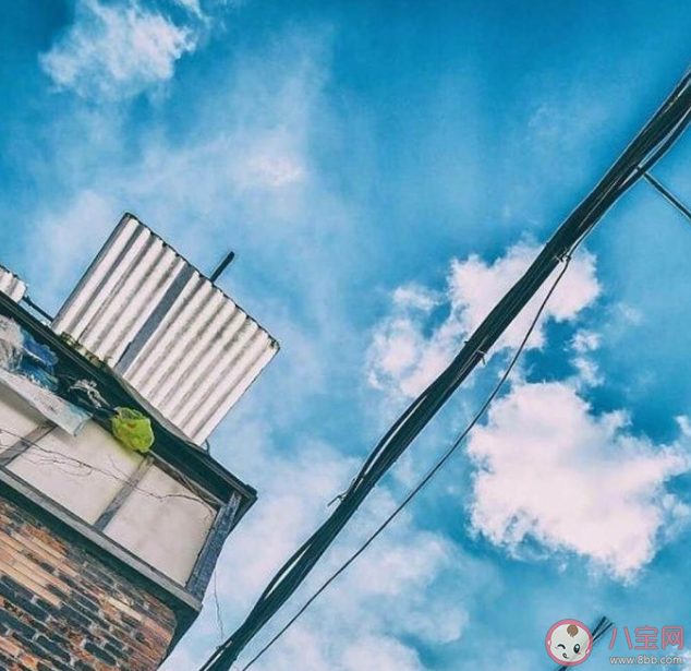 2021微信置顶语文案优美句子 微信朋友圈封面置顶文案大全 2021微信置顶语文案优美句子 微信朋友圈封面置顶文案大全