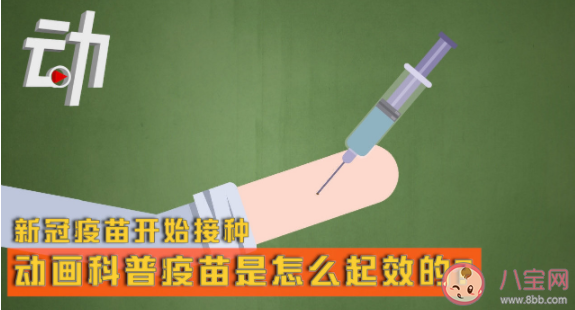 新冠疫苗第二针可接种不同厂家的吗 新冠疫苗接种后如何发挥作用 新冠疫苗第二针可接种不同厂家的吗 新冠疫苗接种后如何发挥作用