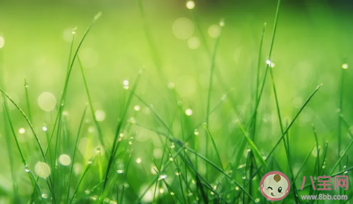 将桌面设成绿色可以保护视力吗 蚂蚁庄园1月15日答案