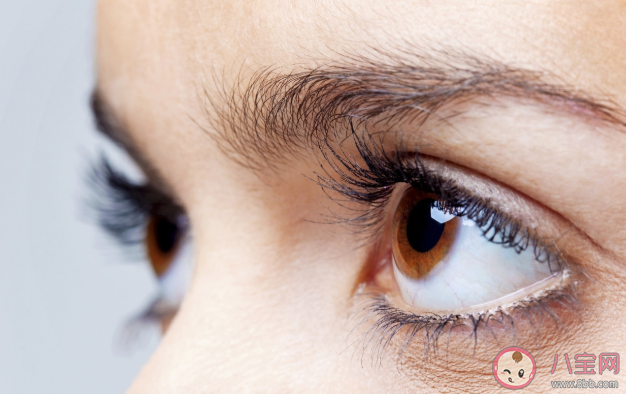 将电脑桌面设成绿色可以保护视力吗 蚂蚁庄园1月15日问题答案 将电脑桌面设成绿色可以保护视力吗 蚂蚁庄园1月15日问题答案