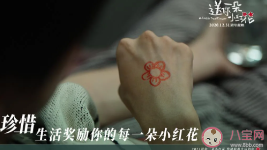 送你一朵小红花不共戴天什么意思 义无反顾什么意思