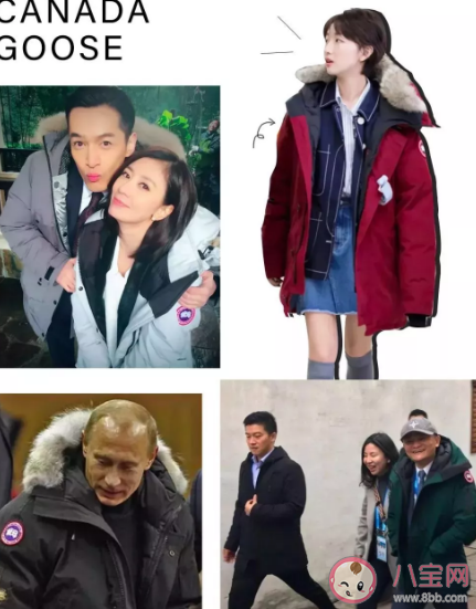 值不值得花万元买一件羽绒服 加拿大鹅绒羽绒服为什么这么贵 值不值得花万元买一件羽绒服 加拿大鹅绒羽绒服为什么这么贵