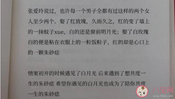 白月光和朱砂痣是什么意思 白月光和朱砂痣哪个更难忘