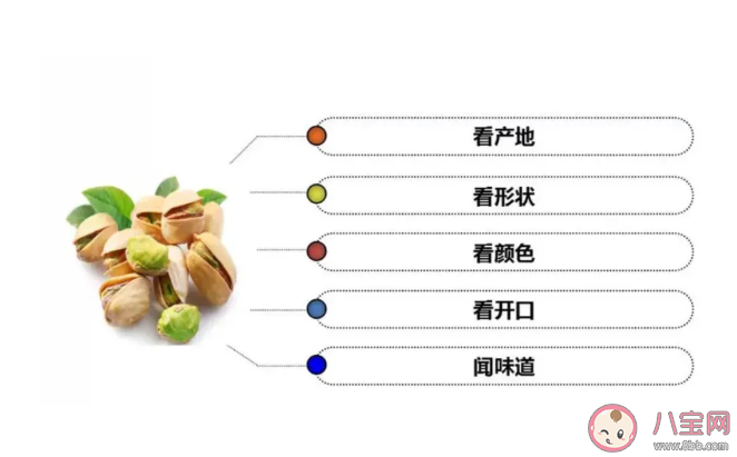 挑选开心果时最好挑选果壳呈什么颜色的 蚂蚁庄园1月19日答案问题