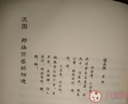 在池台的正中像当初的怀中是什么歌 《沈园外》完整版歌词在线听歌