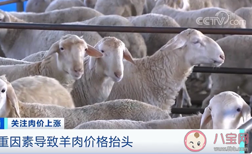 牛羊肉价格每公斤超74元是怎么回事 牛羊肉涨价原因是什么