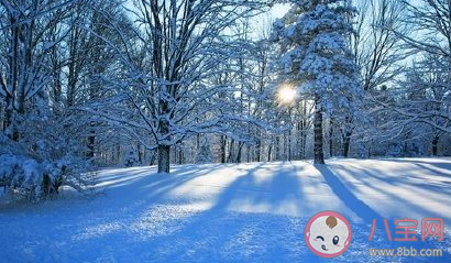2021年的第一场雪祝福句子 新年第一场雪经典说说