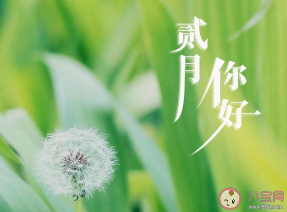 1月最后一天的心情句子配图 1月最后一天朋友圈图片说说