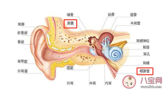 飞机起飞降落时出现耳胀应该怎么缓解 蚂蚁庄园1月21日答案