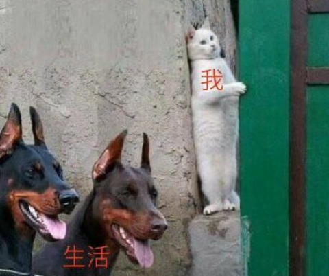 2021回家过年太难了的朋友圈说说 2021回家返乡太难了感受句子