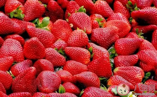 草莓一天吃多少颗比较好 草莓吃多了会长胖吗