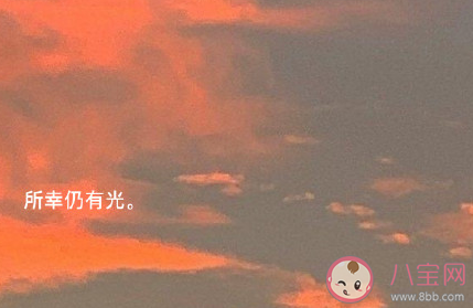 微信状态沙雕又可爱的文案大全 8.0状态的搞笑句子
