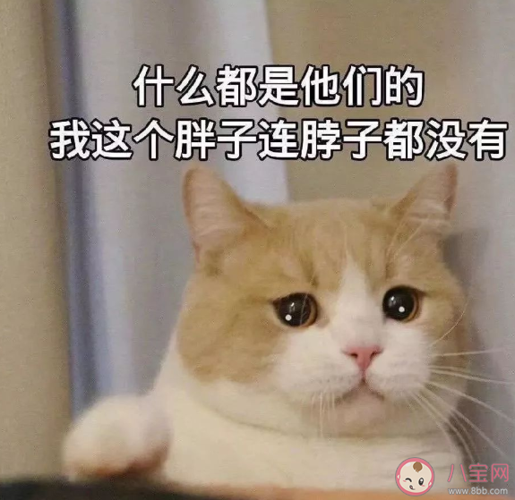 让人扎心的一句话简短句子 句句扎心的文案说说大全