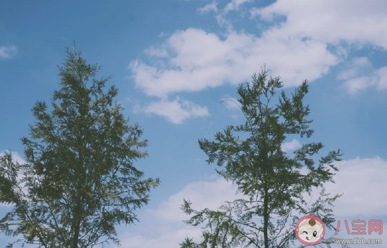2021一月再见二月你好唯美图片大全 一月再见二月你好说说朋友圈文案句子