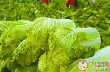 2021年白菜为什么突然涨价了 白菜什么时候降价