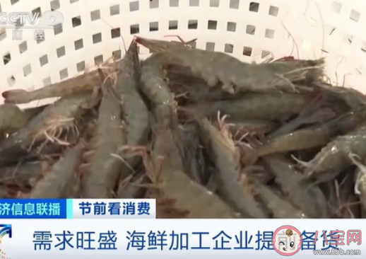 国产活虾价格上涨是什么原因 未来活虾的价格又将如何变化 国产活虾价格上涨是什么原因 未来活虾的价格又将如何变化