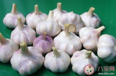 吃大蒜是否也能有效预防新冠病毒 蚂蚁庄园1月26日答案