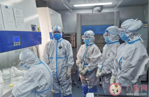 新冠核酸检测得出的阴性结果有效期为 支付宝蚂蚁庄园1月26日问题答案