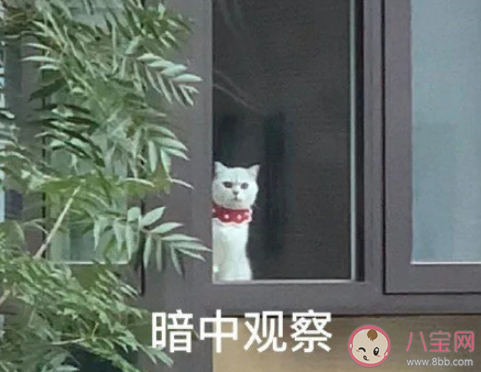 你见过最奇葩的公司规定是什么 公司里都有哪些奇怪规定