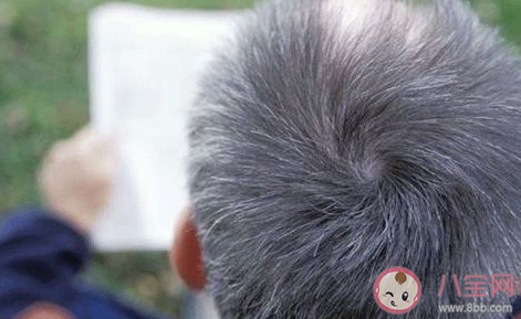 白头发越拔越多是真的吗 有白头发拔了有什么害处