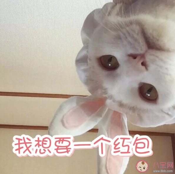 适合过年期间发的沙雕搞笑朋友圈文案 和过年有关的搞笑幽默句子