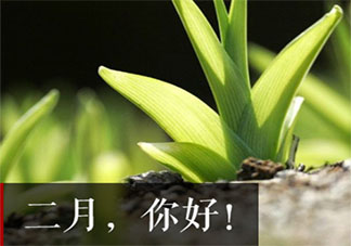 二月第一天图片带字说说 二月第一天朋友圈配图