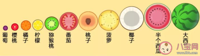 合成大西瓜水果合成顺序是怎样的 有哪些高分技巧