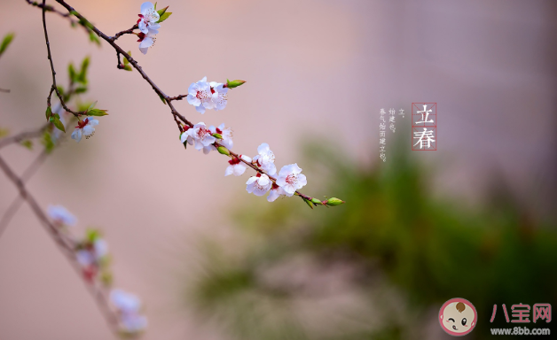 2021立春节气早安温暖问候语大全 立春早安祝福语文案句子