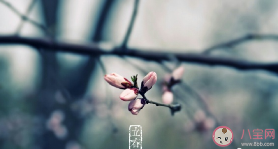2021立春早安精美图片祝福语 立春早上好心情感慨句子
