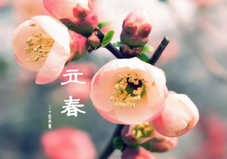 2021立春节气早安温暖问候语大全 立春早安祝福语文案句子