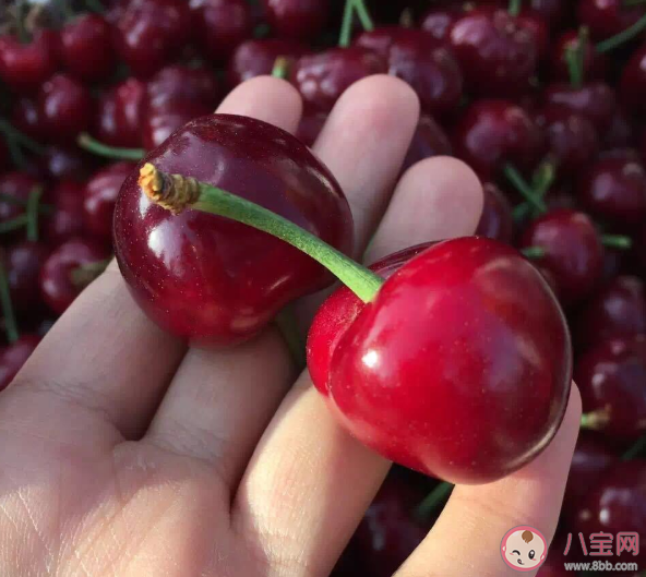 进口车厘子还能放心吃吗 车厘子等进口水果清洗办法