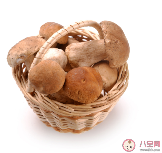 化疗期间白细胞太低吃什么好 改善白细胞降低症状的食物