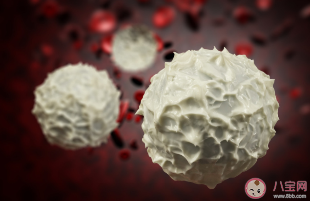 化疗白细胞降低怎么办 白细胞下降会有什么危害后果