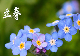 2021适合立春节气的朋友圈说说 2021立春节气发朋友圈文案句子