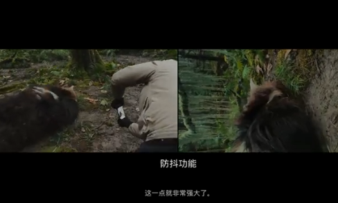 2021苹果短片《阿年》讲的是什么 《阿年》是如何拍摄的