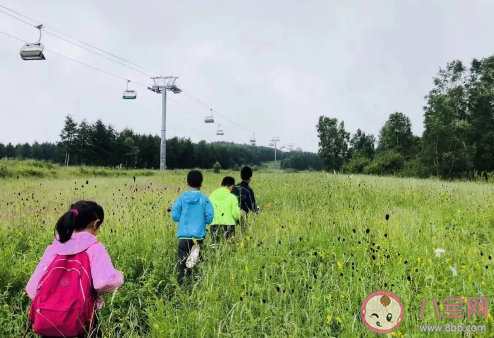 快乐教育真的比应试教育好吗 什么是真正的应试教育